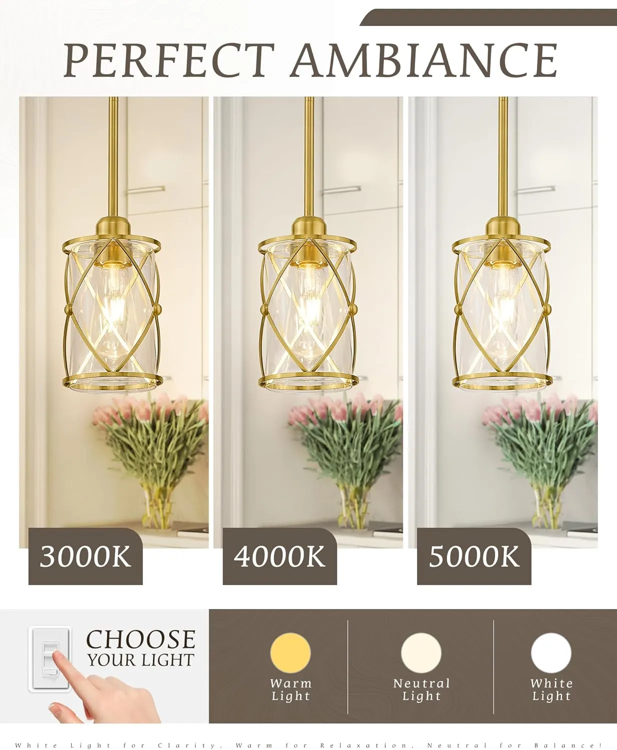 Brushed Gold Pendant Lights Kitchen Island, 2 Pack Brass Glass Pendant Light Fixture Farmhouse Cage Hanging Lighting with Rod for Kitchen Island Sink Bathroom, CH9176BG-2PKG
