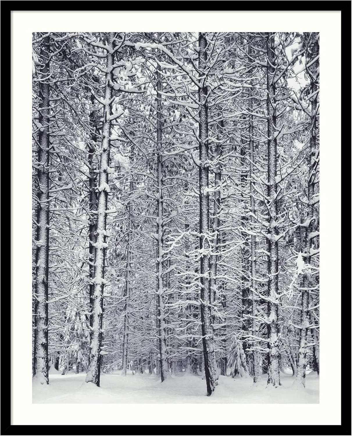 Framed Art Print, 'Pine Forest in the Snow, Yosemite National Park' by Ansel Adams: Outer Size 25 x 31"