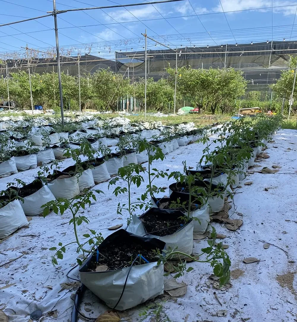 HORTIPOTS Black and White Plastic Grow Bags 1 2 3 Gallon (1 Gallon-Pack of 100)