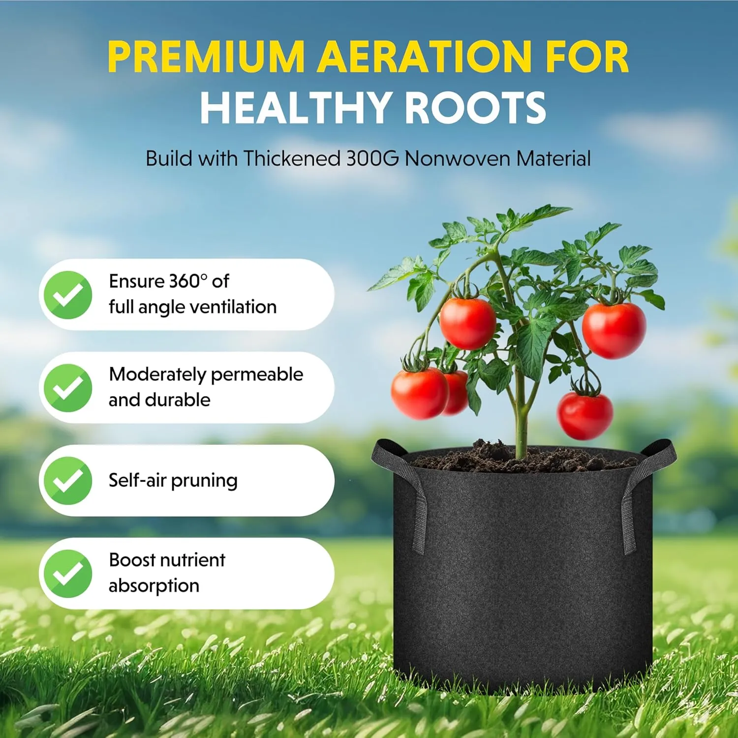 iPower 3 Gallon 10 Pack Grow Bags Nonwoven Fabric Pots Aeration Container with Strap Handles for Garden and Planting, 10-Pack Black, 3 Gallon