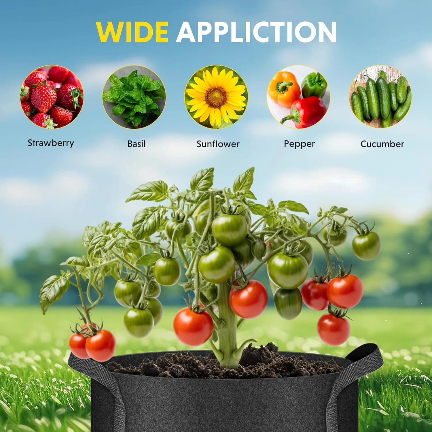 iPower 3 Gallon 10 Pack Grow Bags Nonwoven Fabric Pots Aeration Container with Strap Handles for Garden and Planting, 10-Pack Black, 3 Gallon