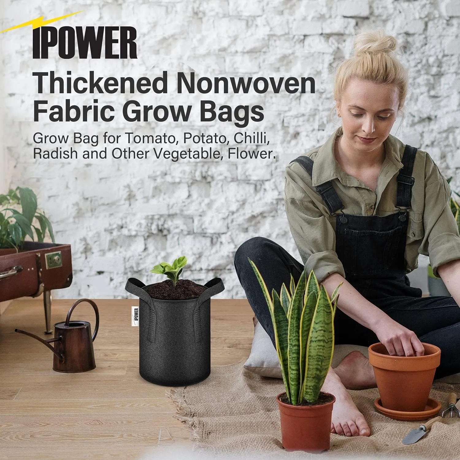 iPower 3 Gallon 10 Pack Grow Bags Nonwoven Fabric Pots Aeration Container with Strap Handles for Garden and Planting, 10-Pack Black, 3 Gallon