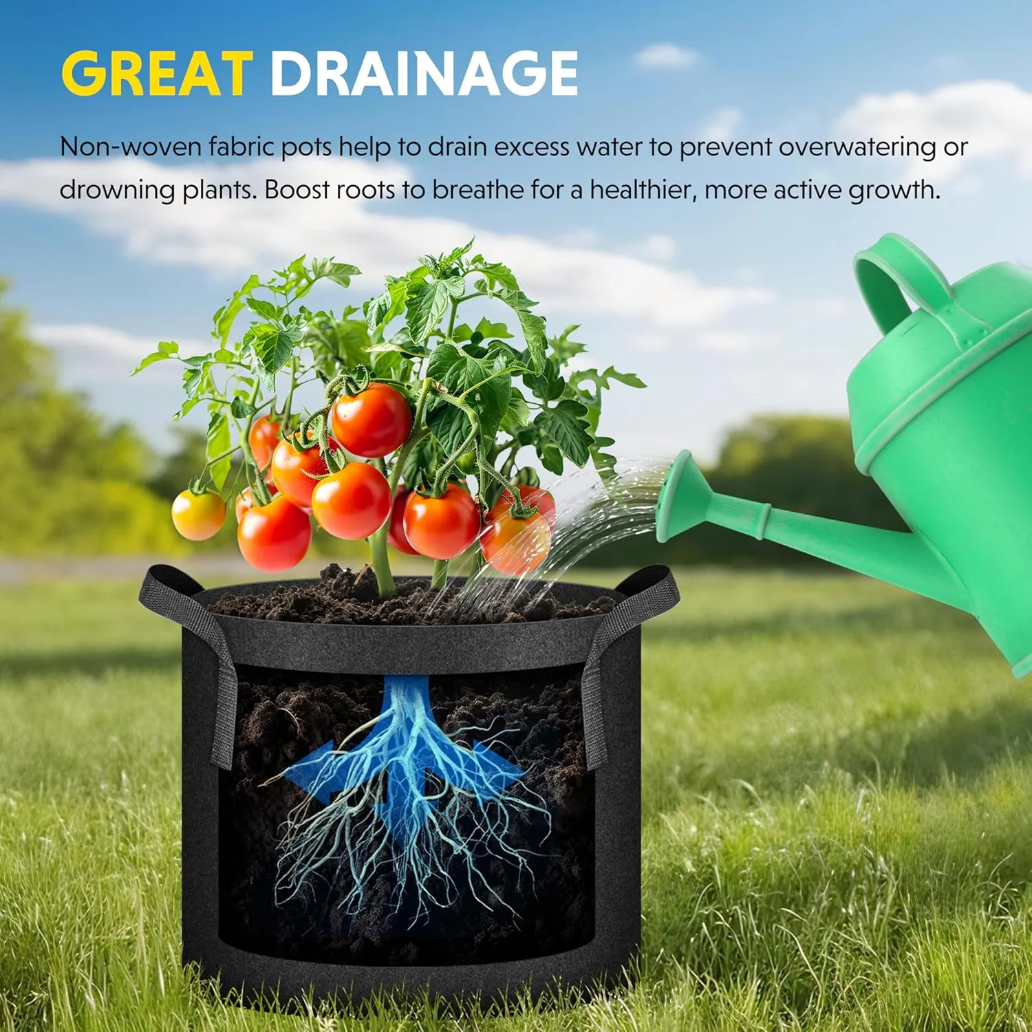 iPower 3 Gallon 10 Pack Grow Bags Nonwoven Fabric Pots Aeration Container with Strap Handles for Garden and Planting, 10-Pack Black, 3 Gallon
