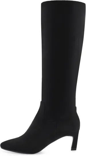 Knee High Boots for Women Kitten Heel Pointed Toe Low Mid Heel Long Tall Boots