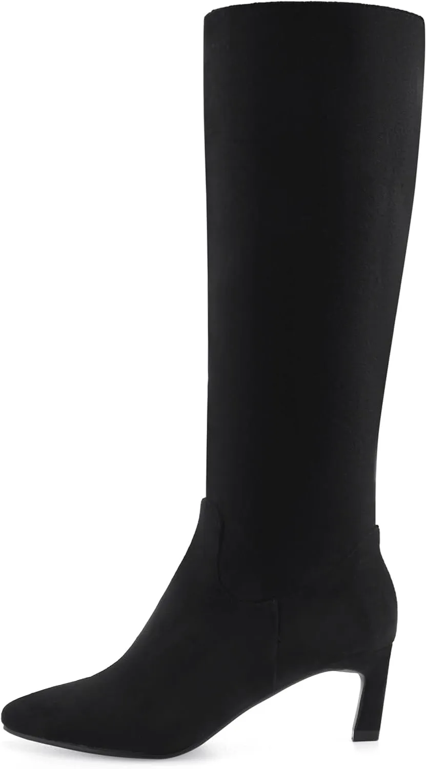 Knee High Boots for Women Kitten Heel Pointed Toe Low Mid Heel Long Tall Boots