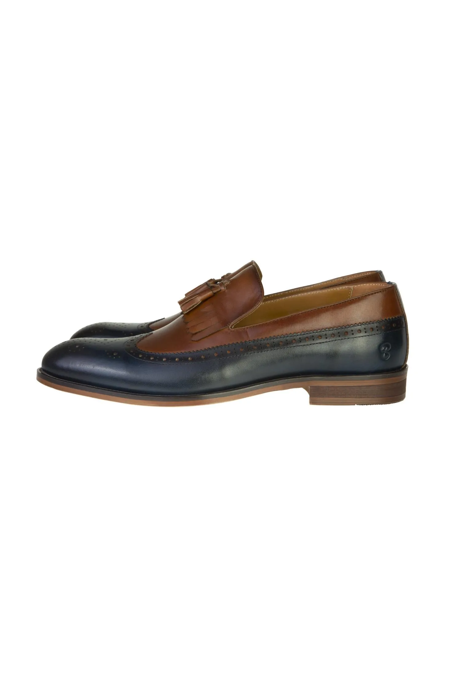 Phillip Tan & Navy Loafer