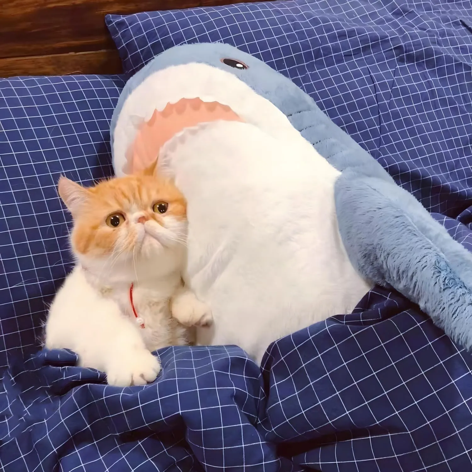 Ryttir 2 Pack 23.6 Inch Large Shark Stuffed Animal,Soft Shark Plush Chubbier Stuffed Shark Décor Fuzzy Shark Pillow,Perfect Stress Relief Shark Gifts for Women Kids