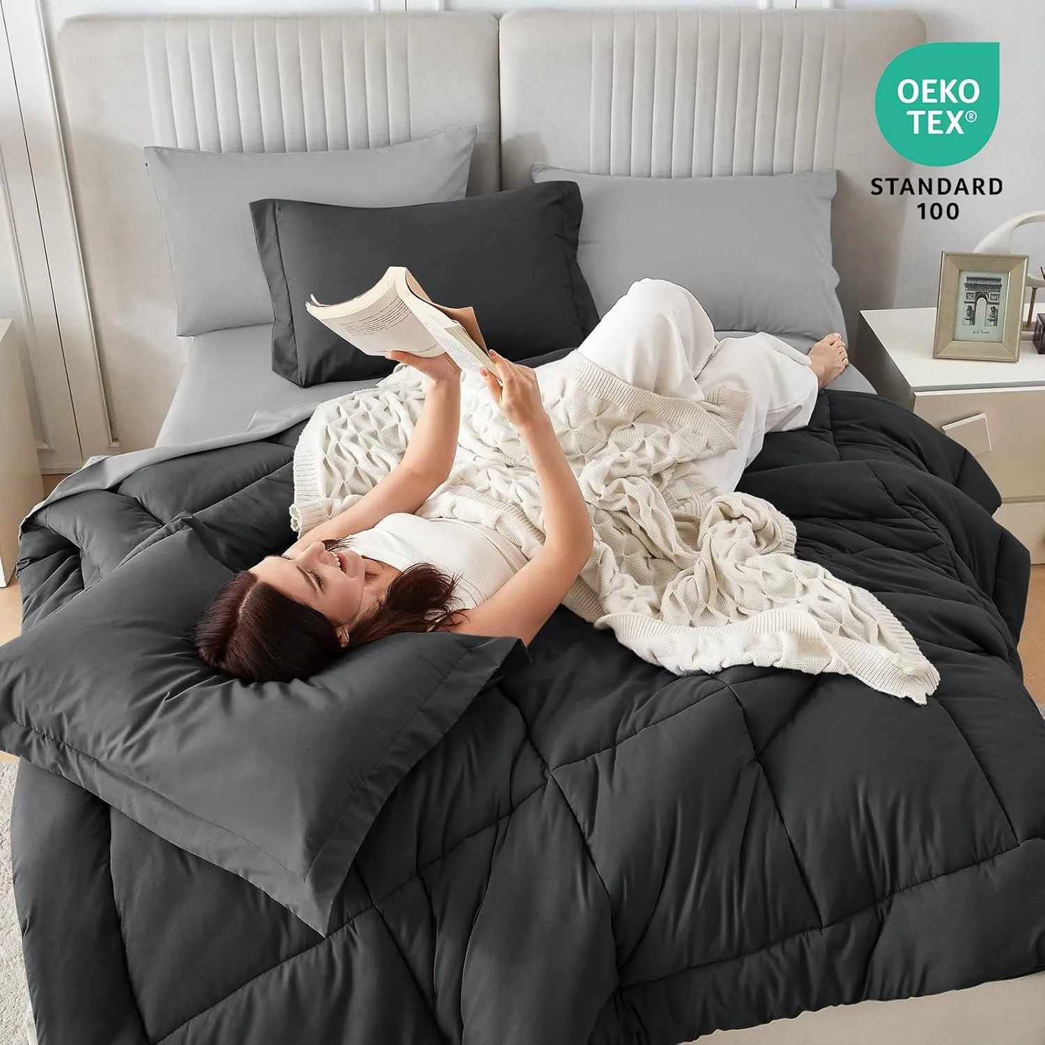 Sasttie Queen Comforter Set, 7 Pieces Bed in a Bag Queen, Complete Bedding Set Includes Comforter, Flat Sheet, Fitted Sheet, Pillowcases and Pillow Shams, Dark Grey & Light Grey