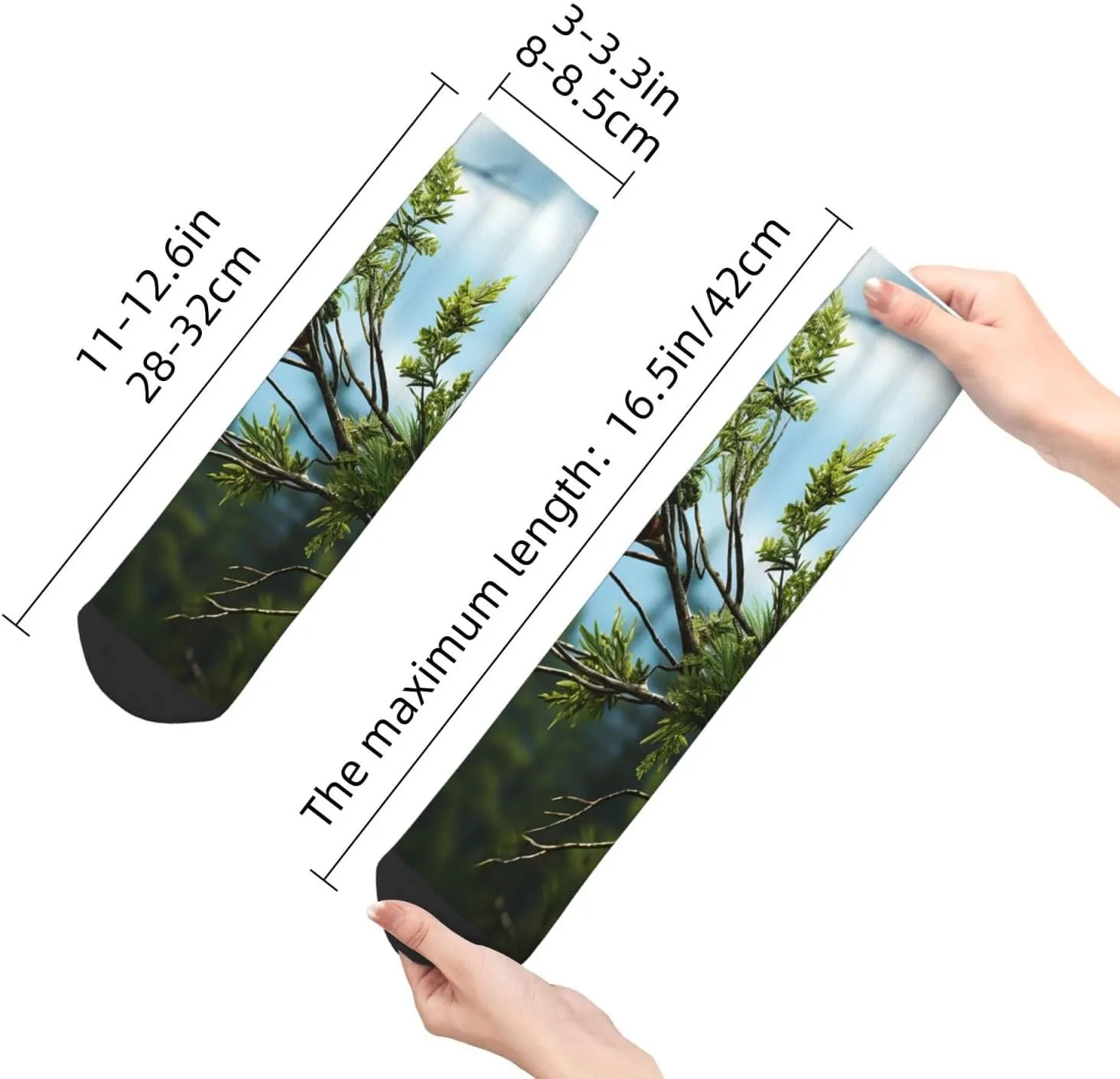 Socks for Women Men Breathable Warm Boot Socks Pine Branches and Leaves Calf Socks for Hiking Work